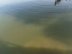 -亿利库布其七星湖沙漠生态旅游区