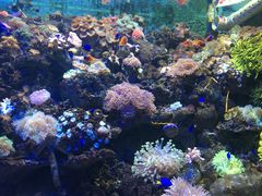 -左海海底世界