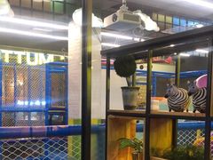 -河坝烧烤串城(金达莱店)