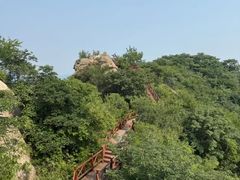 -大岭沟猕猴桃谷风景区