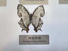-中国湿地博物馆