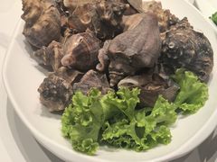 水煮海螺-大连湾旭日饭店(大连湾店)