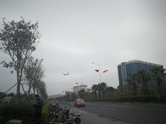 -宝安西湾红树林湿地公园