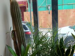 -隅乐胡椒虾·台湾菜·团建(皇岗店)