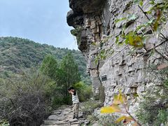 -五龙洞国家森林公园