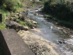 -将军关探险漂流