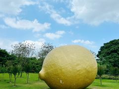 -顺峰山公园