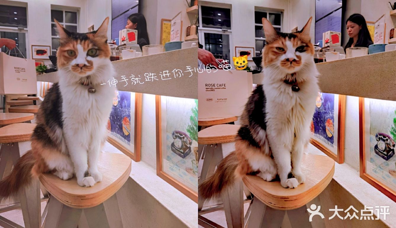 看来玫瑰姐果然很有名！咖啡是好喝的