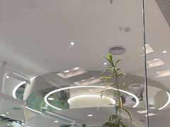 -大树餐厅(朝阳大悦城店)