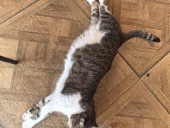 -LOOKA COFFEE(大鹏所城店)