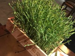 有机豆苗-捞神煲汤火锅(湖滨商业街店)