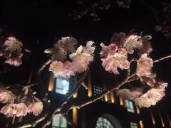 -华东政法大学(松江校区)
