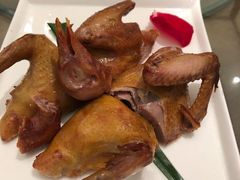 燕郊烧鸽子-燕郊烧鸽子(广安路店)