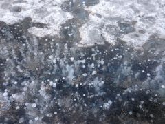 景点-沈阳南湖公园