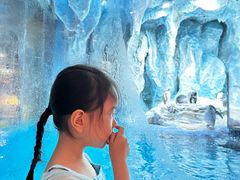 -帝企鹅自助餐厅•儿童岛•真企鹅(长隆企鹅酒店)