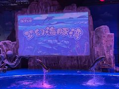 -华夏文旅海洋公园