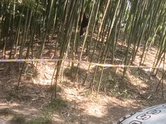 -水绘园