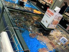 水产区-盒马鲜生(宝地店)