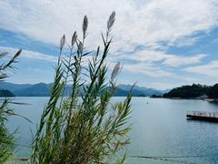 -千岛湖东南湖区
