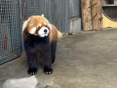 -郑州市动物园