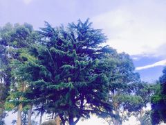 -滇池海埂公园