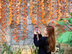 -五合院·整点烤肉