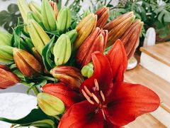 -森野花艺培训·企业团建活动沙龙