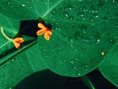 -天津东丽湖风景区