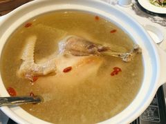 铁皮石斛土鸡汤-汇璟•海鲜青岛菜