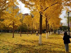 -中国人民大学游泳馆