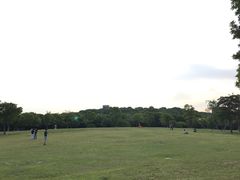 -上海市普陀区中心医院