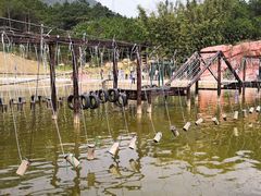 -牛鱼嘴原始生态风景区
