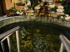 -泉城欧乐堡戏水湾艺术养生温泉