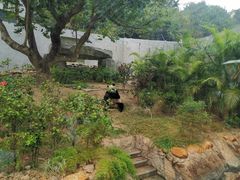 -石排湾郊野公园