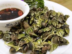 -梅子大排档