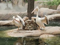 -北京野生动物园