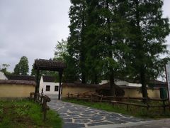 -同里国家湿地公园