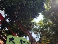 -晋江五店市传统文化旅游区