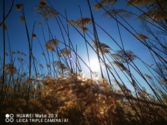 -野鸭湖国家湿地公园