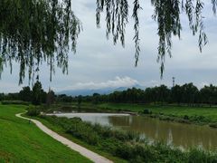 -洨河生态公园
