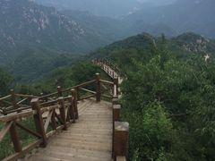 -大岭沟猕猴桃谷风景区