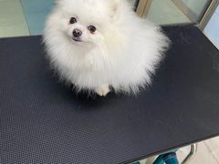 -宠着玩儿宠物生活馆