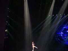 -水秀国际大剧院