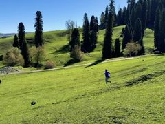 -新疆那拉提国家旅游度假区