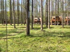 -黄海国家森林公园