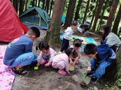 -武陵山森林公园