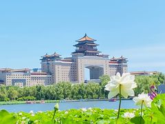 -莲花池公园