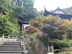 -十八棵（老龙井）御茶园(老龙井店)