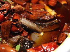 极品毛血旺-辣婆婆(航天桥店)