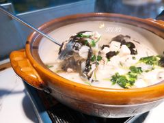 姜君千岛湖鱼头-姜君·千岛湖鱼头馆(浦东大道店)